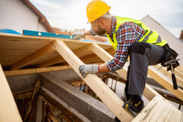 Best Roof Gutter Cleaning  in Poth, TX