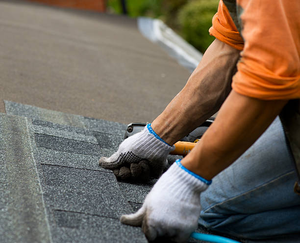 Best Metal Roofing Contractor  in Poth, TX
