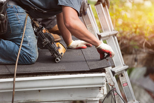 Best Shingle Roofing Installation  in Poth, TX